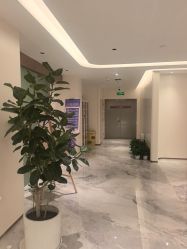 -深圳美莱医疗美容医院