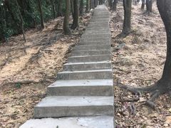 景点-火炉山森林公园