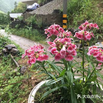 每一次的旅途中，除了欣赏大好的山水美景，路边的花花草