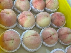 -老袁家蜜桃农场·阳山水蜜桃