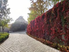 -北京张裕爱斐堡酒庄