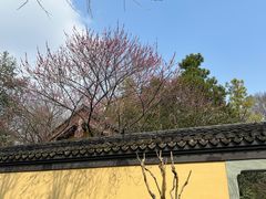 -慧因高丽寺
