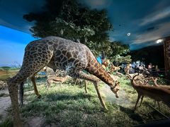 -国家自然博物馆