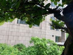 -乌江鱼杭帮菜(西湖店)