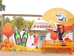 -金塔沙漠胡杨林景区