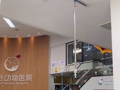 -联合动物医院(光谷诊疗中心)