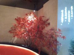 -鼎盛蜀坊·重庆江湖菜(市桥地铁站店)