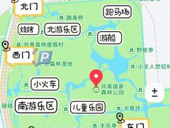 -上海共青森林公园