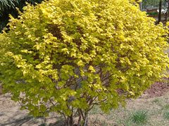 -长辛店二七公园