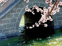 -碑林公园