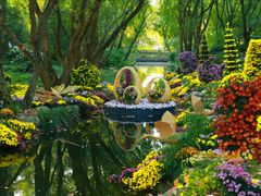 -上海共青森林公园