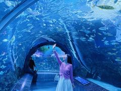 -海合安成都极地海洋公园