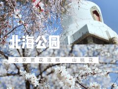 -北海公园