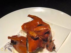 玻璃乳鸽-甄御•海鲜新青岛菜(麦岛店)