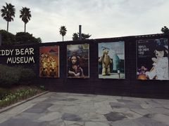 -济州岛泰迪熊博物馆