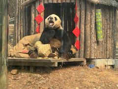 -大连森林动物园