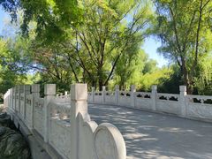 -莲花池公园