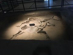 -洛阳周王城天子驾六博物馆