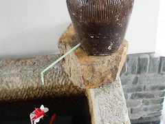 -松声马术俱乐部