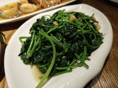 -金苑酒家·客家菜·广东老字号(万象店)