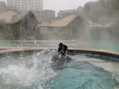 -咸宁万豪温泉谷度假区