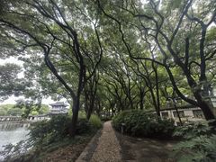 -无锡蠡湖国家湿地公园-蠡园