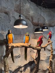 -Zoolung Zoolung动物主题公园(海信广场店)