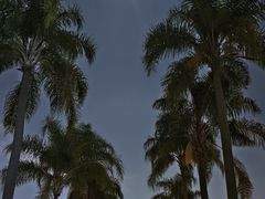 -南宁南湖公园