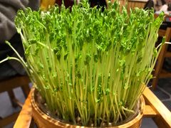 -廣順興(天明路店)