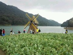 -广州市石门国家森林公园
