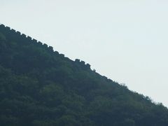 -天源渔港农庄