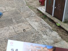 -蔡家宅