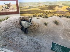 -国家自然博物馆