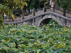 -成都市文化公园