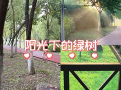 -滨湖塘西河公园