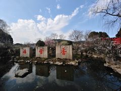-香雪海