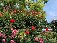 -上海科技馆(地铁站)