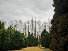 -上海滨江森林公园