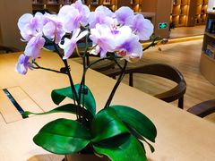 -漕河泾街道图书馆(漕河泾社区文化活动中心店)