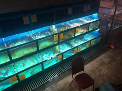 海鲜池-金苑海鲜酒家(新港中路店)