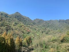 -青城山