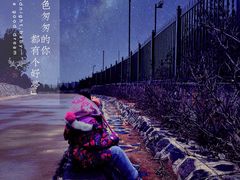 -北京西山国家森林公园