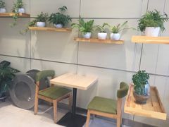 -好利来(国际能源店)