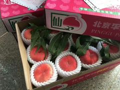 -小慧大桃观光采摘园