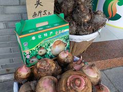 -蒋氏故居