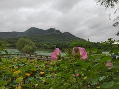 -湘湖大院(越王路店)