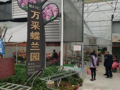 -万顷园艺世界