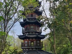 -上海佘山国家森林公园西佘山园