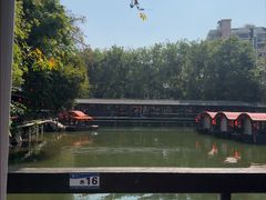 -侨美·唐荔园·40年地道粤菜