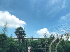 -太阳岛度假酒店